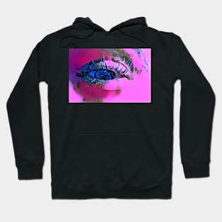 Squinting Eye of Seacrest Hoodie